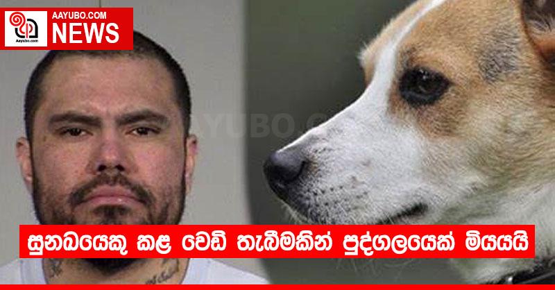 සුනඛයෙකු කළ වෙඩි තැබීමකින් පුද්ගලයෙක් මියයයි