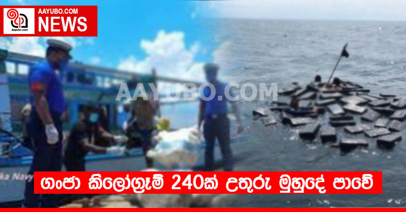 ගංජා කිලෝග්‍රෑම් 240ක් උතුරු මුහුදේ පාවේ