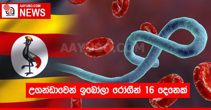 උගන්ඩාවෙන් ඉබෝලා රෝගීන් 16 දෙනෙක්