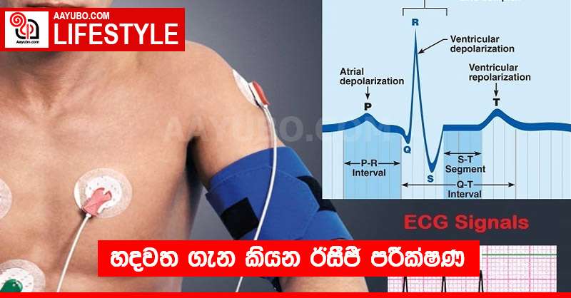 හදවත ගැන කියන ECG පරීක්ෂණ