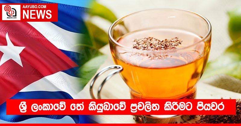 ශ්‍රී ලංකාවේ තේ කියුබාවේ ප්‍රචලිත කිරීමට පියවර