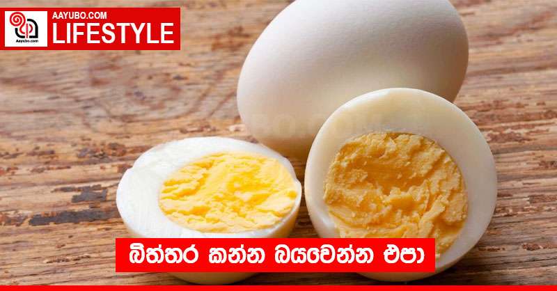 බිත්තර කන්න බයවෙන්න එපා