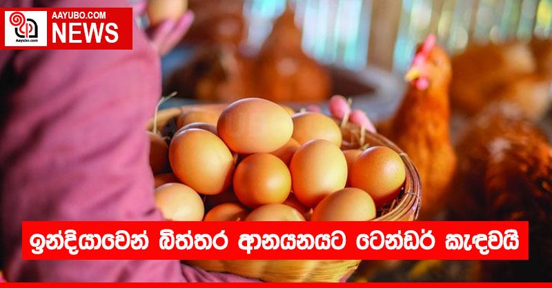 ඉන්දියාවෙන් බිත්තර ආනයනයට ටෙන්ඩර් කැඳවයි