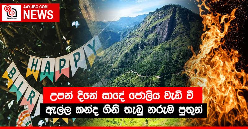 උපන් දිනේ සාදේ ජොලිය වැඩි වී ඇල්ල කන්ද ගිනි තැබු නරුම පුතුන් 