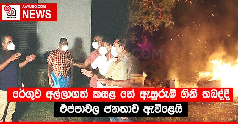රේගුව අල්ලාගත් කසළ තේ ඇසුරුම් ගිනි තබද්දී එප්පාවල ජනතාව ඇවිළෙයි