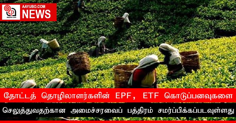 தோட்டத் தொழிலாளர்களின் EPF, ETF கொடுப்பனவுகளை செலுத்துவதற்கான அமைச்சரவைப் பத்திரம் சமர்ப்பிக்கப்படவுள்ளது
