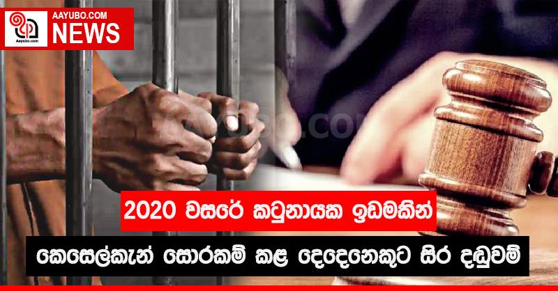 2020 වසරේ කටුනායක ඉඩමකින් කෙසෙල්කැන් සොරකම් කළ දෙදෙනෙකුට සිර දඬුවම්