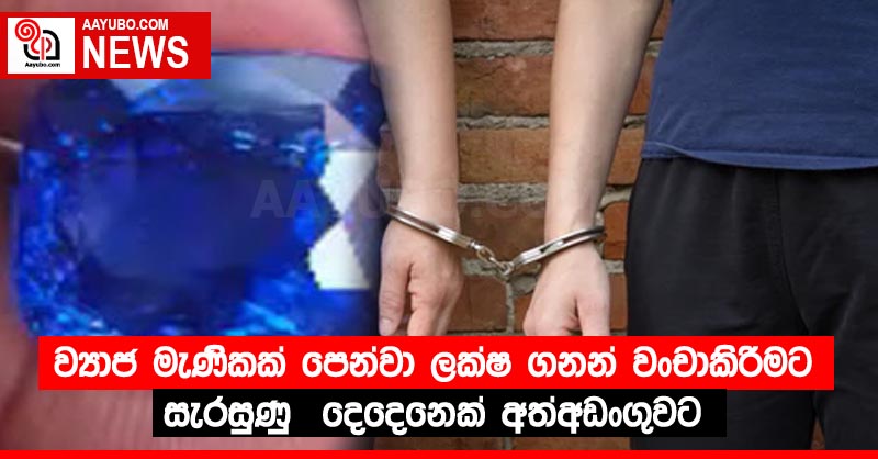 ව්‍යාජ මැණිකක් පෙන්වා ලක්ෂ ගනන් වංචාකිරීමට සැරසුණු  දෙදෙනෙක් අත්අඩංගුවට