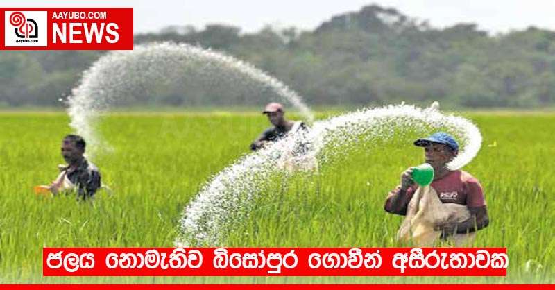 ජලය නොමැතිව බිසෝපුර ගොවීන් අසීරුතාවක