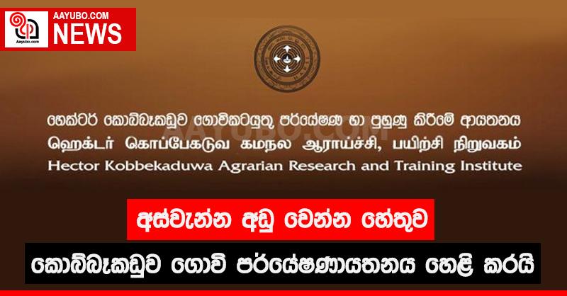 අස්වැන්න අඩු වෙන්න හේතුව කොබ්බෑකඩුව ගොවි පර්යේෂණායතනය හෙළි කරයි