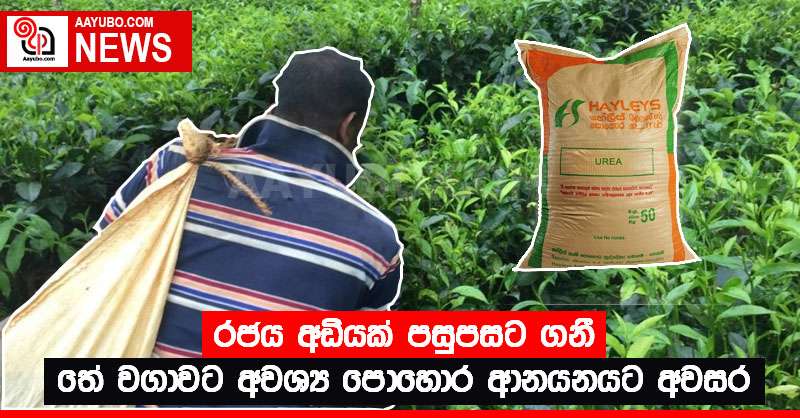 රජය අඩියක් පසුපසට ගනී - තේ වගාවට අවශ්‍ය පොහොර ආනයනයට අවසර