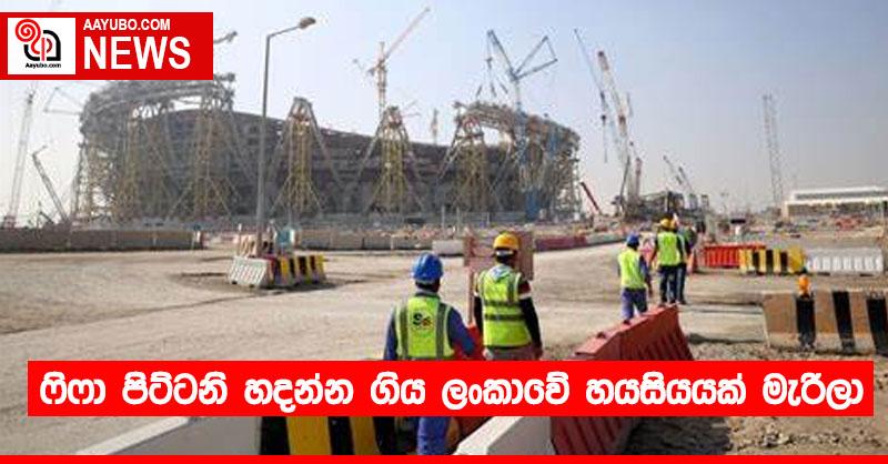 ෆිෆා පිට්ටනි හදන්න ගිය ලංකාවේ හයසියයක් මැරිලා