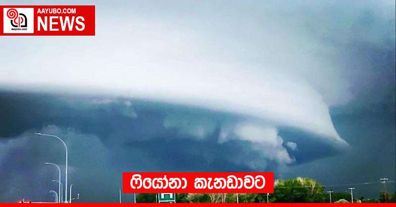 ෆියෝනා කැනඩාවට