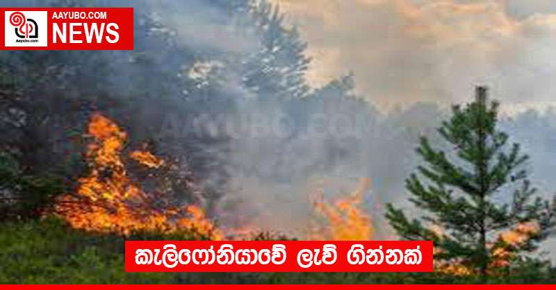 කැලිෆෝනියාවේ ලැව් ගින්නක්