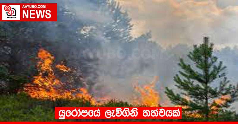යුරෝපයේ ලැව්ගිනි තත්වයක්