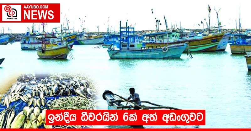 ඉන්දීය ධීවරයින් 6ක් අත් අඩංගුවට 