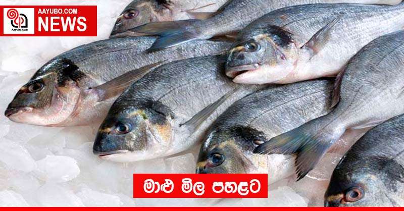 මාළු මිල පහළට 