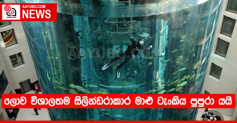 ලොව විශාලතම සිලින්ඩරාකාර මාළු ටැංකිය පුපුරා යයි