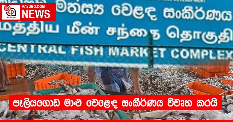 පෑලියගොඩ මාළු වෙළෙඳ සංකීර්ණය විවෘත කරයි