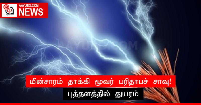 மின்சாரம் தாக்கி மூவர் பரிதாபச் சாவு! புத்தளத்தில் துயரம்