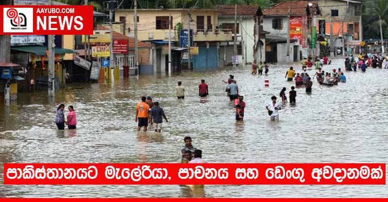 පාකිස්තානයට මැලේරියා, පාචනය සහ ඩෙංගු අවදානමක්
