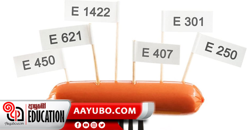 8 ශ්‍රේණිය විද්‍යාව - ආහාර පරිරක්ෂක