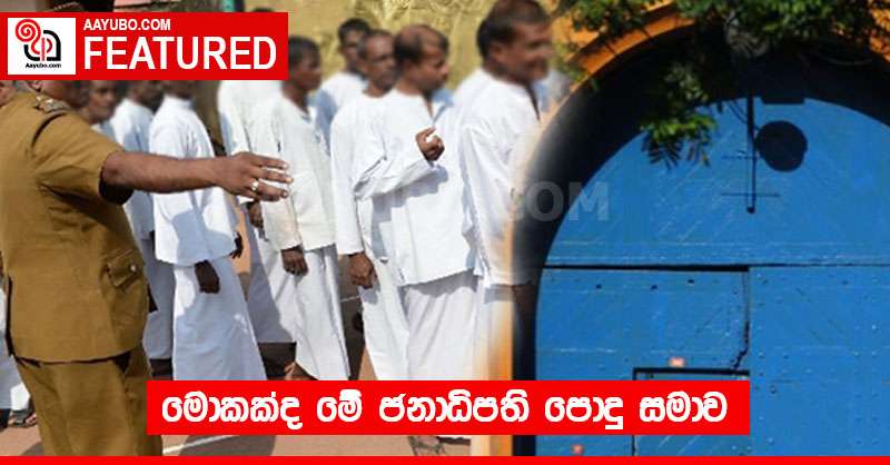 මොකක්ද මේ ජනාධිපති පොදු සමාව