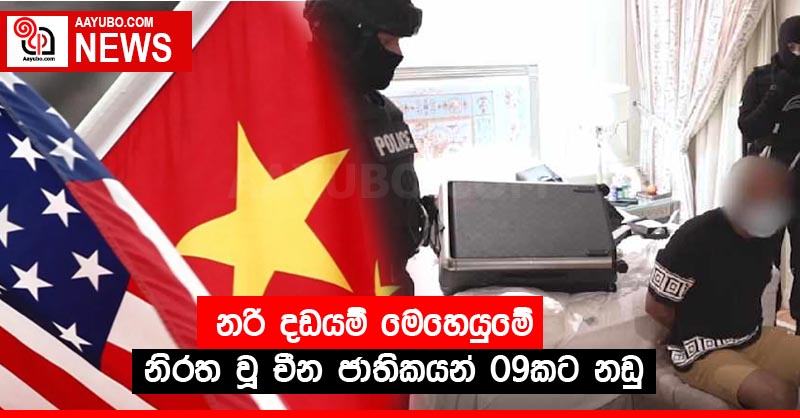 නරි දඩයම් මෙහෙයුමේ නිරත වූ චීන ජාතිකයන් 09කට නඩු