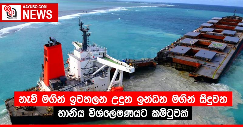 නැව් මගින් ඉවතලන උදුන ඉන්ධන මගින් සිදුවන හානිය විශ්ලේෂණයට කමිටුවක්