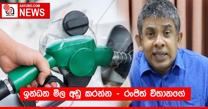 ඉන්ධන මිල අඩු කරන්න - රංජිත් විතානගේ