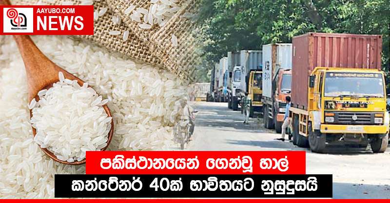 පකිස්ථානයෙන් ගෙන්වූ හාල් කන්ටේනර් 40ක් භාවිතයට නුසුදුසයි
