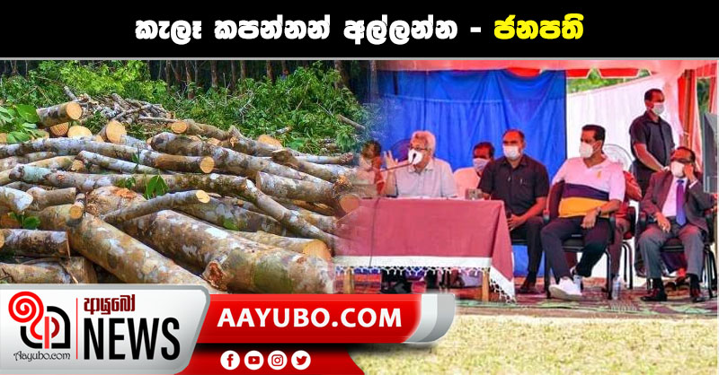 "වන විනාශයට අවසර දී නැහැ, කැලෑ කපන්නන් අල්ලන්න" - ජනපති