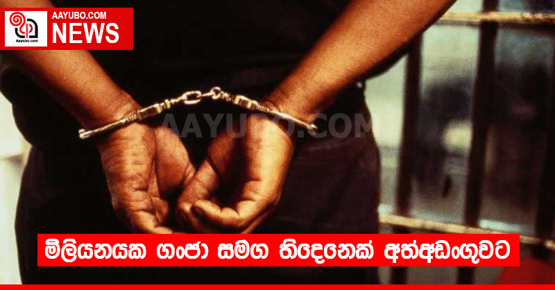 මිලියනයක ගංජා සමග තිදෙනෙක් අත්අඩංගුවට