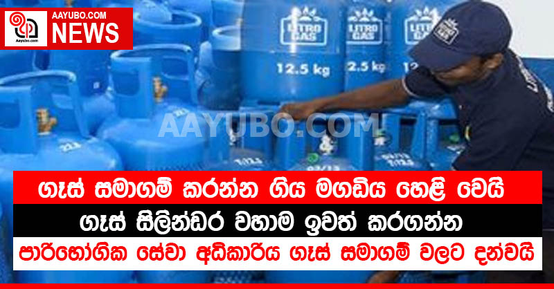 ගෑස් සමාගම් කරන්න ගිය මගඩිය හෙළි වෙයි.. ගෑස් සිලින්ඩර වහාම ඉවත් කරගන්න - පාරිභෝගික සේවා අධිකාරිය ගෑස් සමාගම් වලට දන්වයි