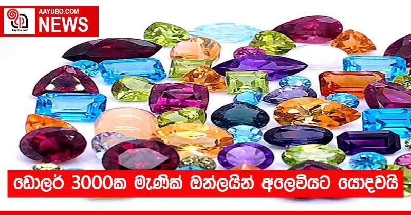 ඩොලර් 3000ක මැණික් ඔන්ලයින් අලෙවියට යොදවයි