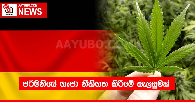 ජර්මනියේ ගංජා නීතිගත කිරීමේ සැලසුමක්