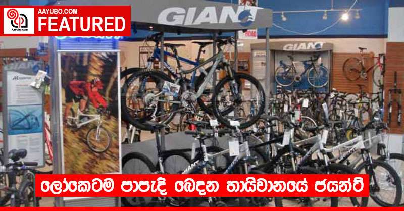 ලෝකෙටම පාපැදි බෙදන තායිවානයේ ජයන්ට්