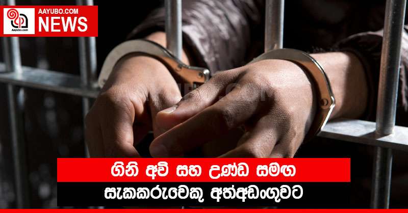 ගිනි අවි සහ උණ්ඩ සමඟ සැකකරුවෙකු අත්අඩංගුවට