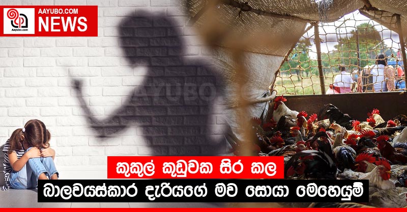 කුකුල් කූඩුවක සිර කල බාලවයස්කාර දැරියගේ මව සොයා මෙහෙයුම්