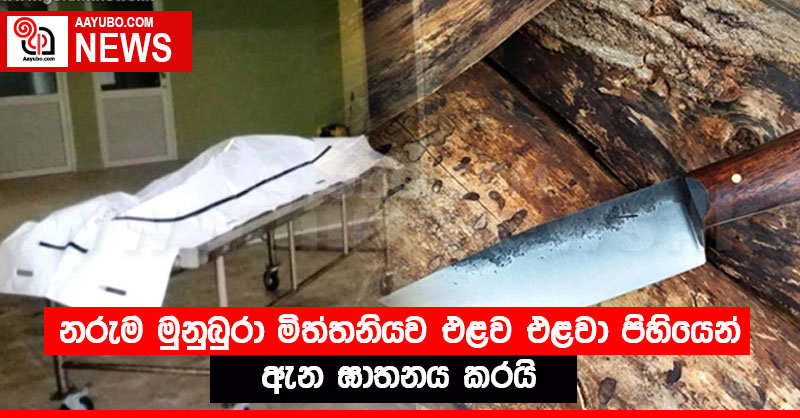 නරුම මුනුබුරා මිත්තනියව එළව එළවා පිහියෙන් ඇන ඝාතනය කරයි