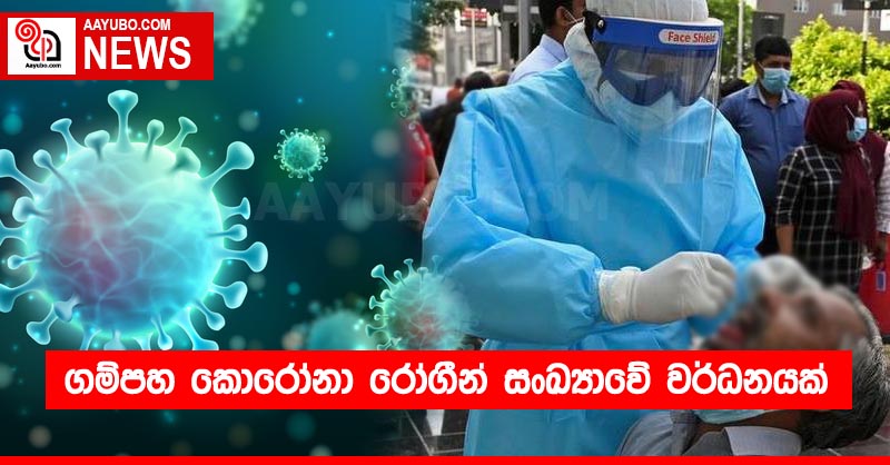 ගම්පහ කොරෝනා රෝගීන් සංඛ්‍යාවේ වර්ධනයක්