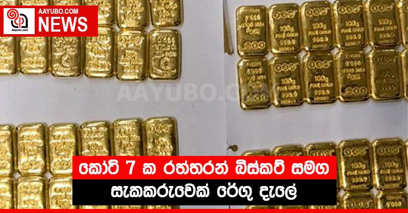 කෝටි 7 ක රත්තරන් බිස්කට් සමග සැකකරුවෙක් රේගු දැලේ