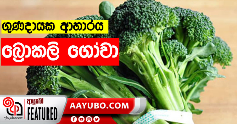ගුණදායක බ්‍රොකලි ගෝවා 