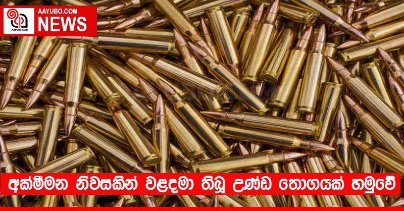 අක්මීමන නිවසකින් වළදමා තිබූ උණ්ඩ තොගයක් හමුවේ