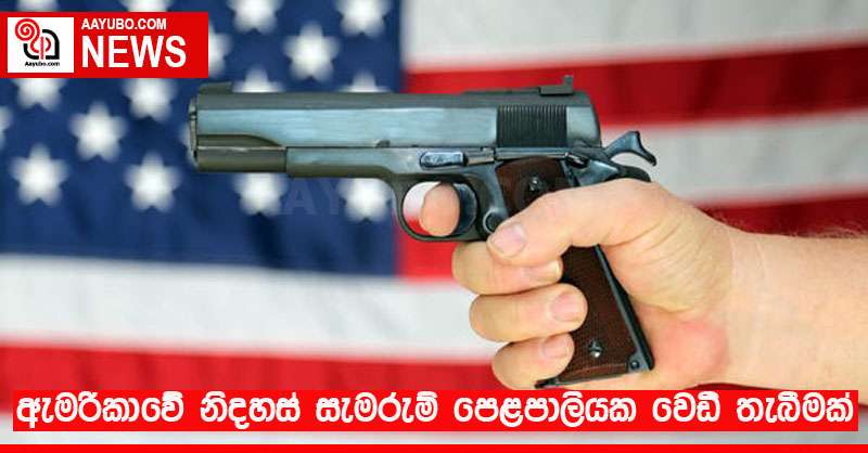 ඇමරිකාවේ නිදහස් සැමරුම් පෙළපාලියක වෙඩි තැබීමක්