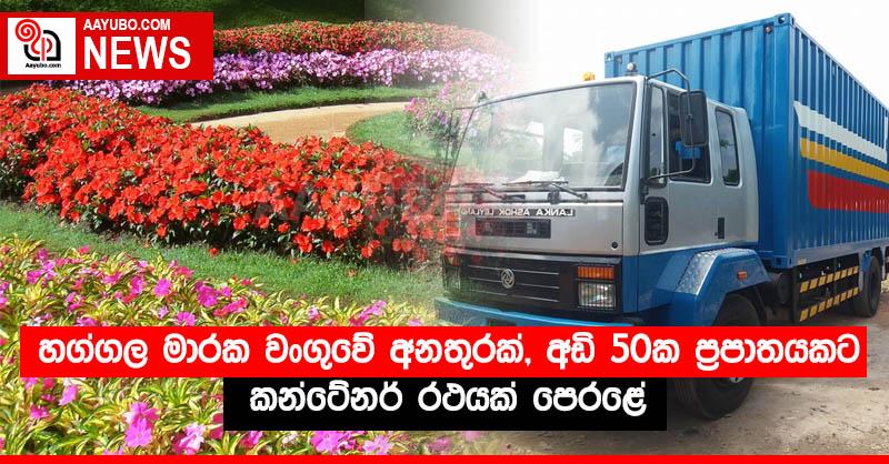 හග්ගල මාරක වංගුවේ අනතුරක්, අඩි 50ක ප්‍රපාතයකට කන්ටේනර් රථයක් පෙරළේ 
