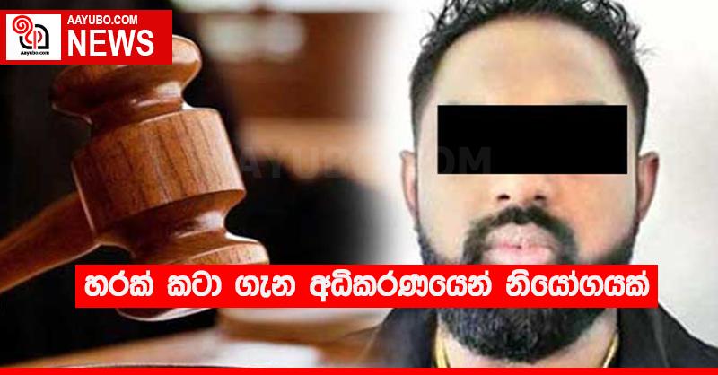 හරක් කටා ගැන අධිකරණයෙන් නියෝගයක්