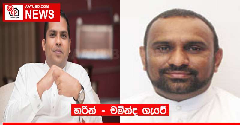 හරින් - චමින්ද ගැටේ