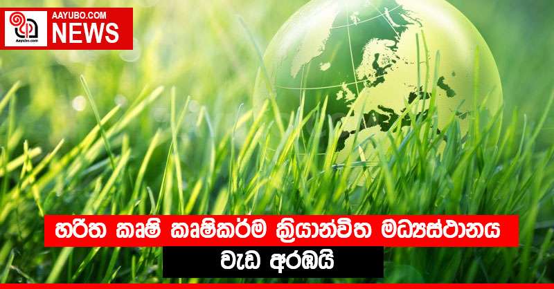 හරිත කෘෂි කෘෂිකර්ම ක්‍රියාන්විත මධ්‍යස්ථානය  වැඩ අරඹයි