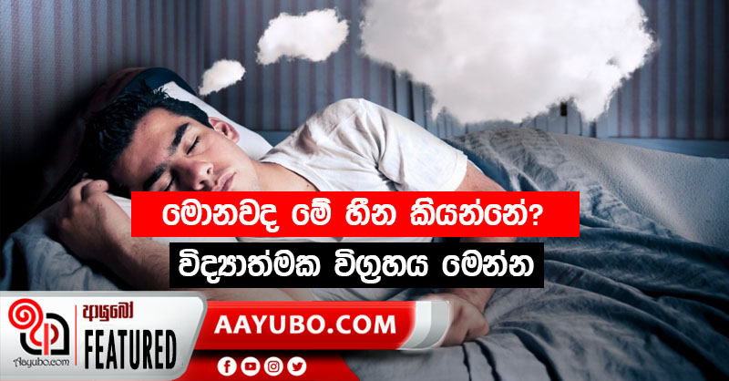 රාත්‍රී නින්දෙන් නිරතුරැව සිහින දකිනවාද?